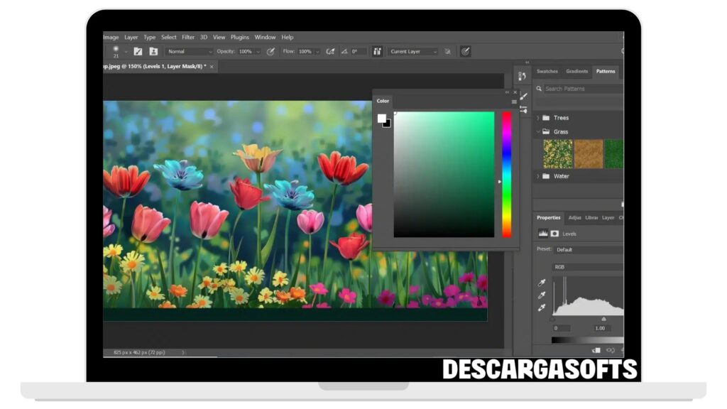 Captura de pantalla de Adobe Photoshop 1