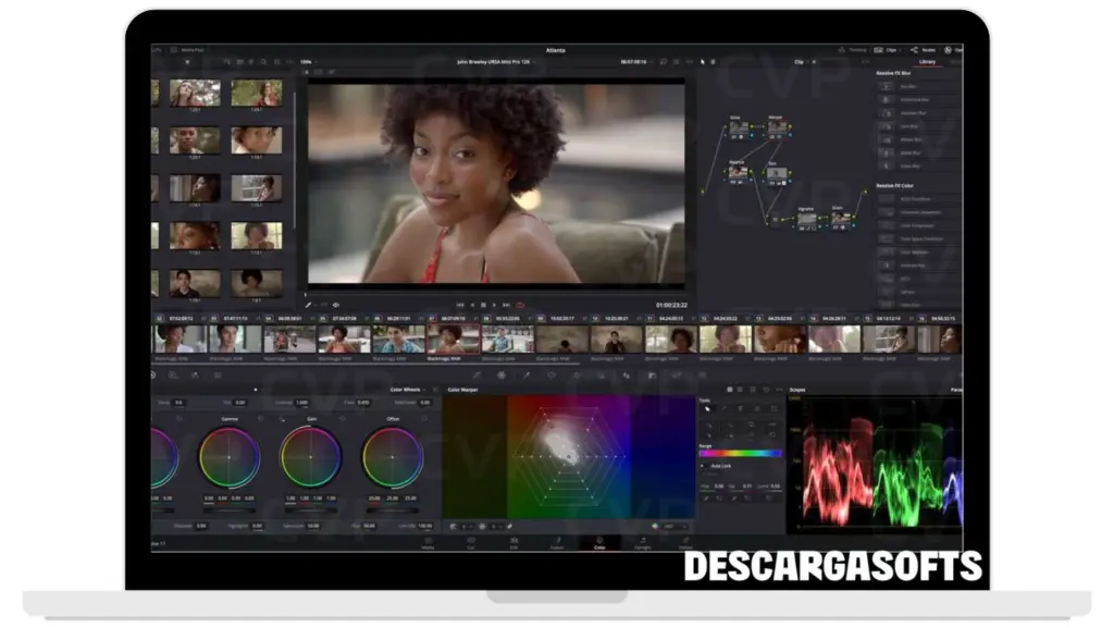 Captura de pantalla de DaVinci Resolve Studio 2