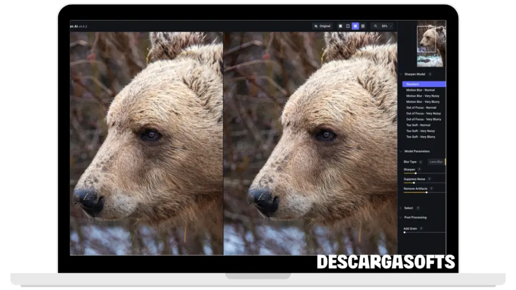 Captura de pantalla de Topaz Photo AI 1