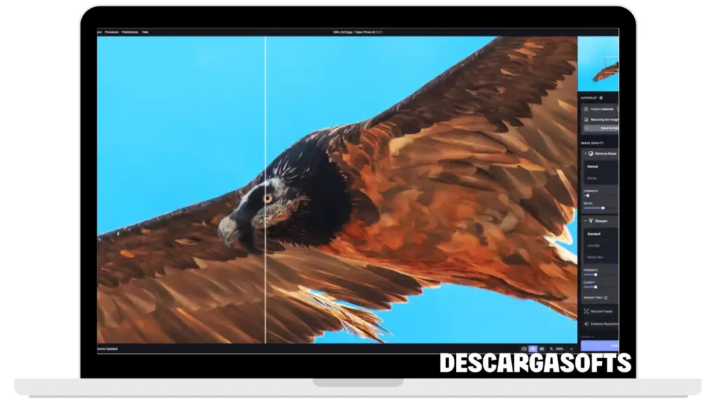 Captura de pantalla de Topaz Photo AI 2