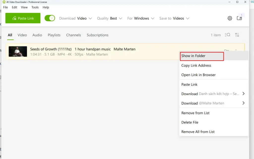 Como usar 4K Video Downloader Plus 7 Como usar 4K Video Downloader Plus 7