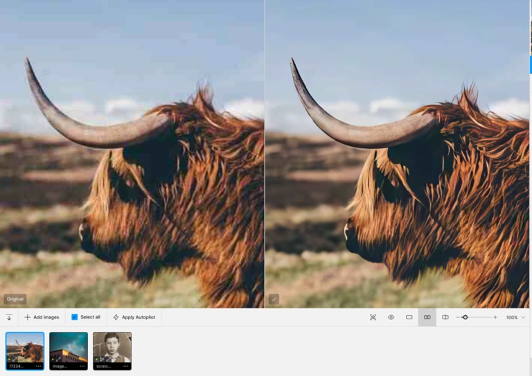 Como usar el software Topaz Photo AI 7