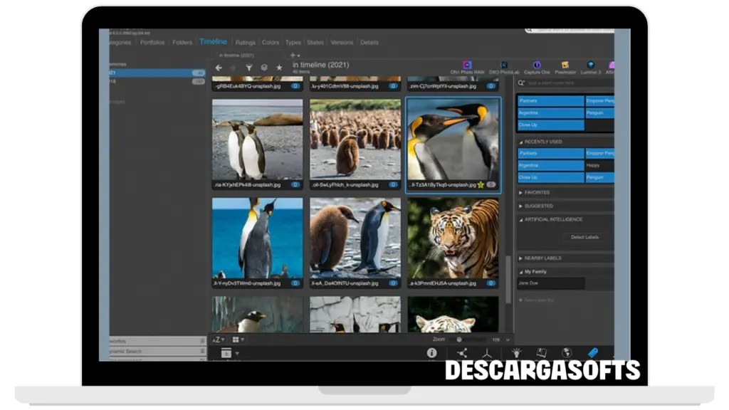 Captura de pantalla de IDimager Photo Supreme 2