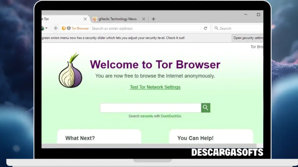 Captura de pantalla de Tor Browser 1