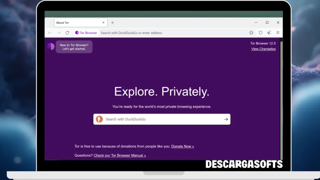 Captura de pantalla de Tor Browser 2