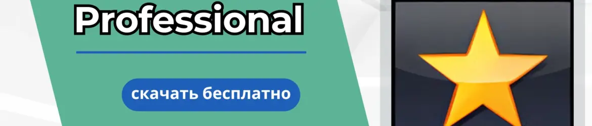 Бесплатная загрузка NCH VideoPad Video Editor Professional